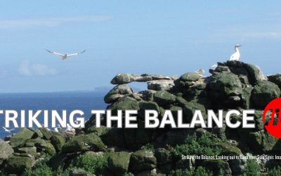 Smuaintean à Sgiogarstaidh — Striking the Balance. The 2026 Guga Harvest licence has been refused. How do we strike a balance between science and a licence for 2027?