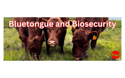 Bluetongue and Biosecurity
